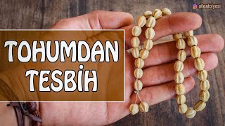 Tesbih Ağacı Tohumundan Tesbih Yapımı - Doğal Oymalı Tesbih Making Rosary With Rosary Tree Seeds