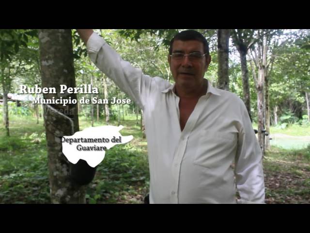 Confederación Cauchera Colombiana