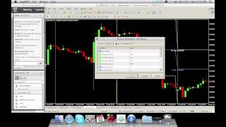 Urban forex - pro trading strategy basics