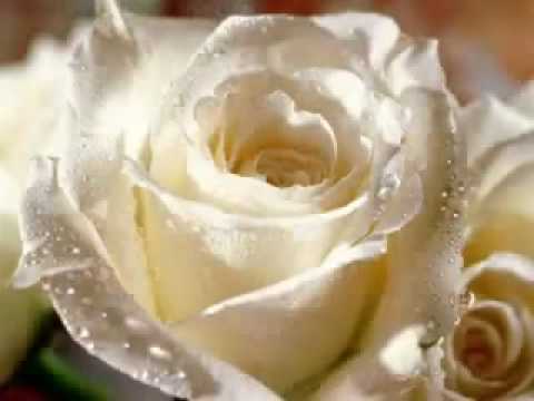 Aa Bhi Jaa Aye Mere Humdum.flv