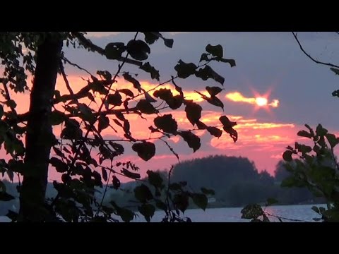 десногорск фидер видео десногорск фидер видео