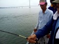 image Pancing Laut Dalam Kong Kong