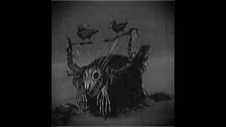 Woolabee