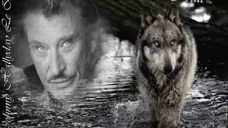 Watch Johnny Hallyday Si Tu Restes Avec Moi video