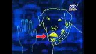Discovery Kids Fun Facts