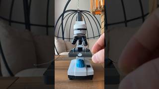 Mikroskopta Tükürük