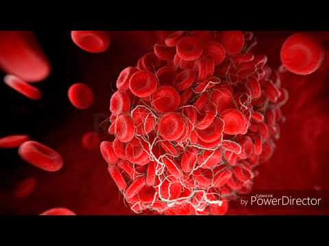 3 Minute Science 2019 Mystery behind life by Amarildo Topalli and Fedele Resuli