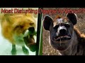 Animal Diseases that Belong in a Horror Movie