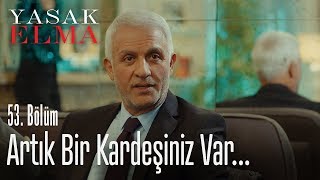 Kimsenin düşünmediği son! - Yasak Elma 53. Bölüm