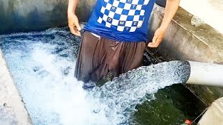 Vedeo No 10 Ahsan Village Veloge