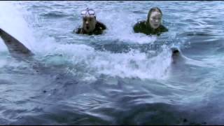Zoe Naylor - The Reef Compilation - Part 3