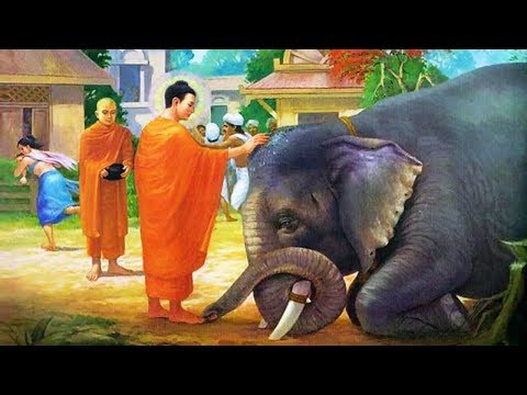 Đêm Trằn Trọc Khó Ngủ - Nghe Phật Kể Truyện Đêm Khuya Cực Hay
