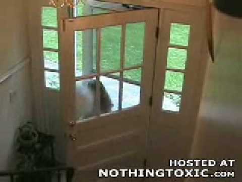 Ranker Video