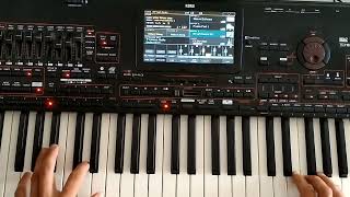 Modern Talking Style & Długa Noc... (Danekoo1 & Korg Pa4X )