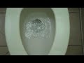 3516: 1986-1993 American Standard Madera Toilet 7
