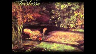 Watch Avec Tristesse She The Lust video