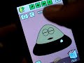 Pou Speed Level Up 100% Real How To Get Fast images Pou Speed Level Up 100% Real How To Get Fast