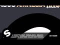 Ian Carey & Rosette Feat. Timbaland & Brasco - Amnesia (Cazzette Another Sugar Hunt Remix)