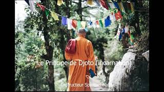 Le Principe De Djoto Incarnation Dans La Tradition Africaine Par Linstructeur Spirituel Nahar