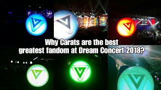 Why Carats are the best greatest fandom at Dream Concert 2018?