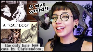 The Insane History Of Sphynx Cat Breeding Victorian Era -- Present
