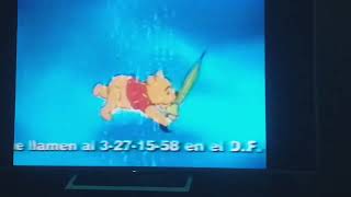 Las Aventuras De Winnie Pooh