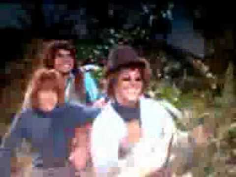 the honey bees on gilligans island