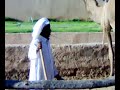 السواني من التراث القديم