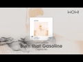 Luca Donzelli - Burn that Gasoline (Original Mix)