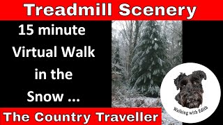 15 minute January Virtual Walk in the snow - Treadmill Scenery - exercise at home 😀