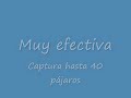 trampa para aves