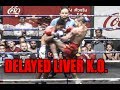 Muay Thai Knockout - DELAYED LIVER K.O.! Muay Thai Knockout - DELAYED LIVER K.O.!