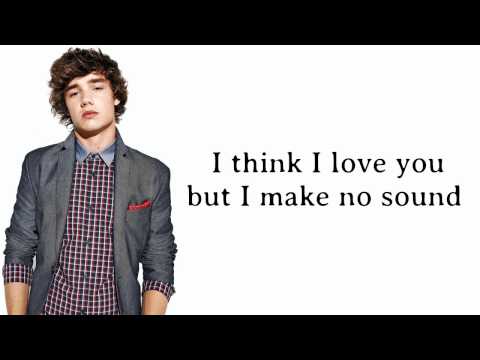 One Direction - Stole My Heart ( Lyrics and Pictures )