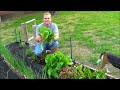 gardening