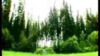 The Dudesons - Extreme Duudsonit - Jukka