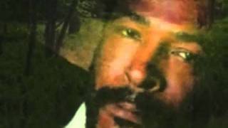 Watch Marvin Gaye I Wont Cry Anymore video