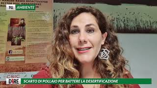 Tg Ambiente, edizione del 22 settembre 2020