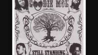 Watch Goodie Mob See You When I See You video