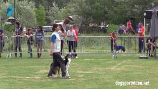 Selection - Miho Kugimiya Orion. Hibito Of Ohana Jp Border Collie