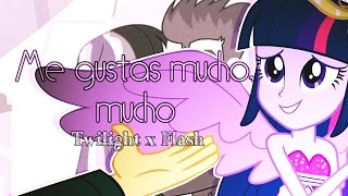 Me Gustas Mucho, Mucho Flashlight Pmv
