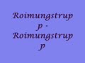 Roimungstrupp Video preview