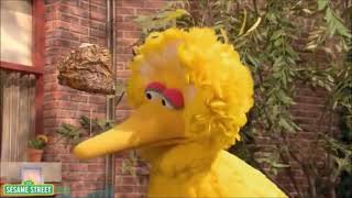 My Reaction That Todays National Bird Day