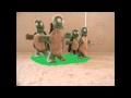 TMNT stop motion