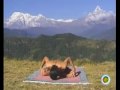 YANTRA YOGA The Tibetan Yoga of Movement