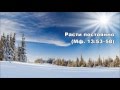 07.02.2016 Иисус, наше истинное сокровище (От Матфея 13:44–58) 07.02.2016 Иисус, наше истинное сокровище (От Матфея 13:44–58)
