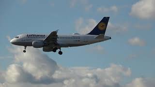 Lufthansa Flugzeug / Germany Airplane at Frankfurt Flughafen/Airport /Behind the scene