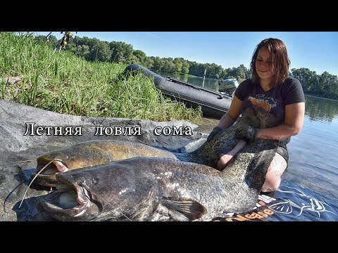как рыбачить на сома весной как рыбачить на сома весной