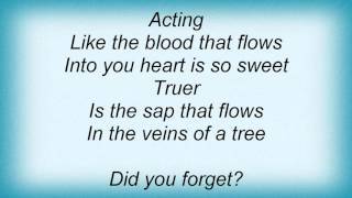Watch Perry Farrell Did You Forget video