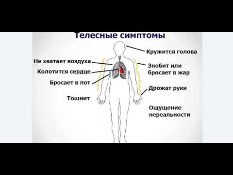 Что делать если знобит и тошнит