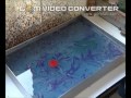 sivas aydın tatlıcak.(ebru sanatı). klip izle